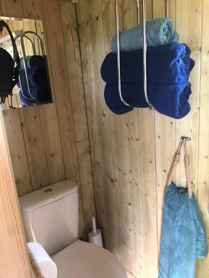 The Peacock Shepherds Hut At Hafoty Boeth Corwen Exterior photo