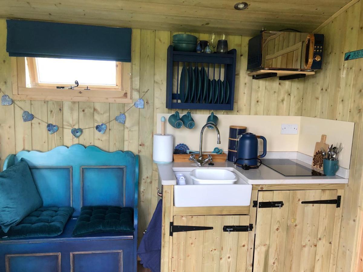 The Peacock Shepherds Hut At Hafoty Boeth Corwen Exterior photo